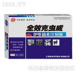 西安坤昱生物制品連鎖有限責任公司 日用品技術研發(fā)的創(chuàng)新驅動與未來展望